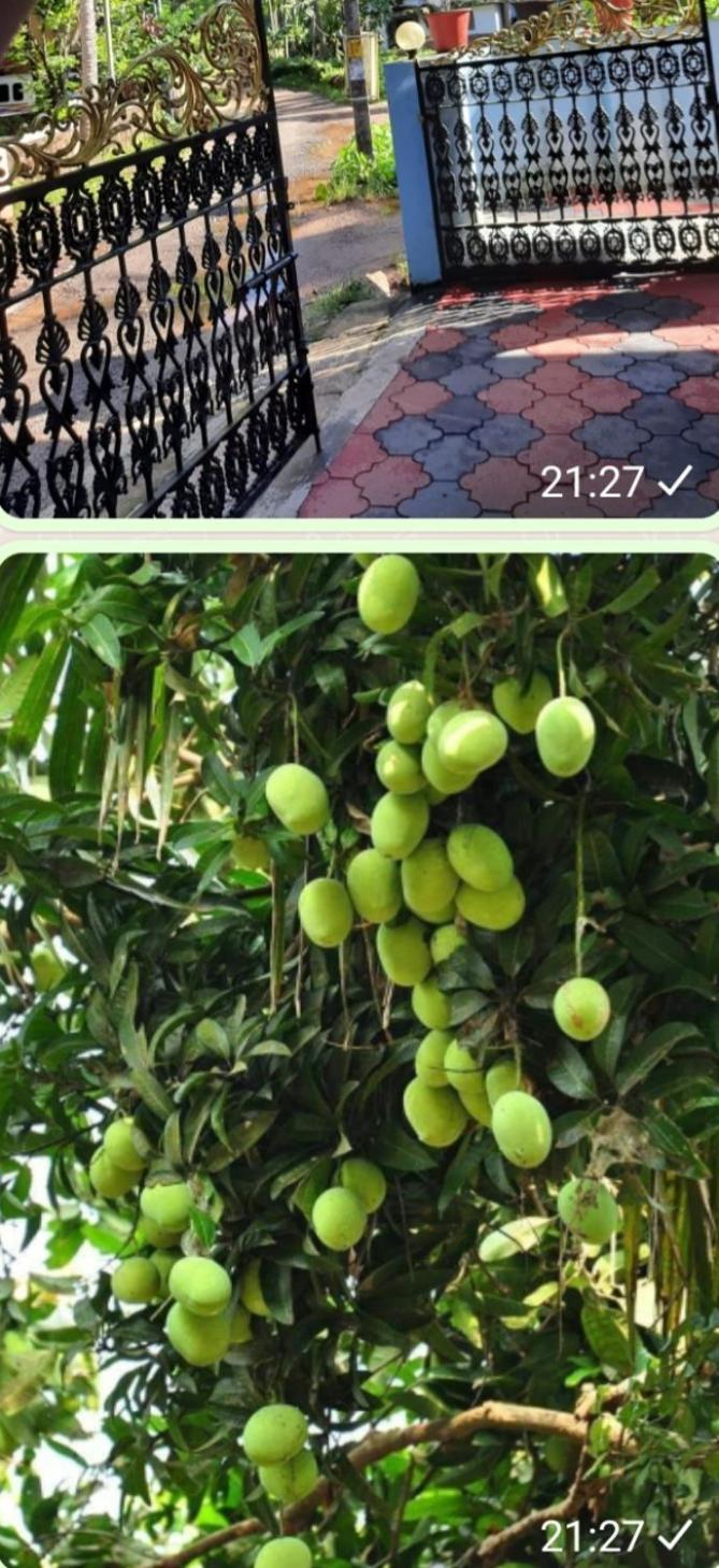 Urban Rose Homestay カンヌール エクステリア 写真